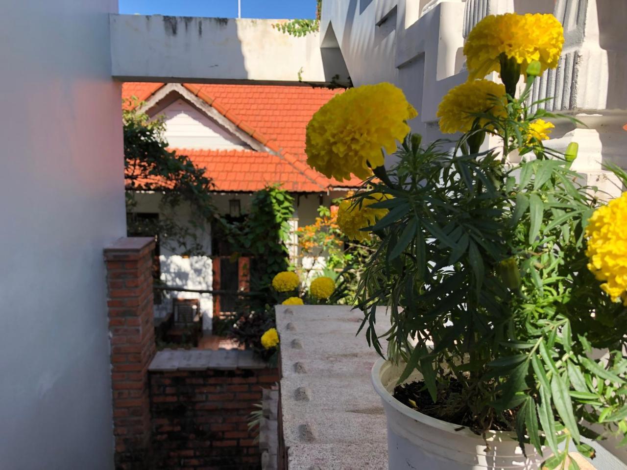 Charming Homestay Хойан Экстерьер фото